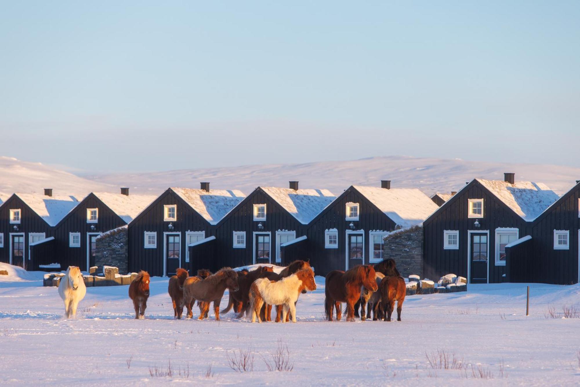 Torfhus Retreat Hotell Selfoss Eksteriør bilde